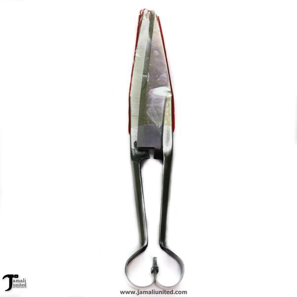 SCISSOR GHANNAM 12" POLISH HANDLE MS 53404