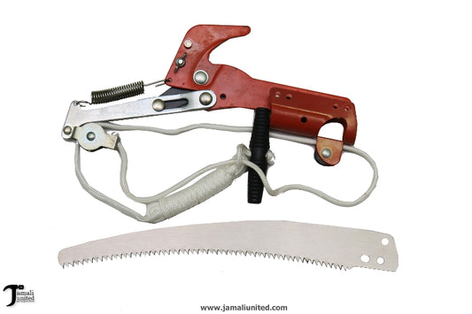 Pruning High Edge Shear